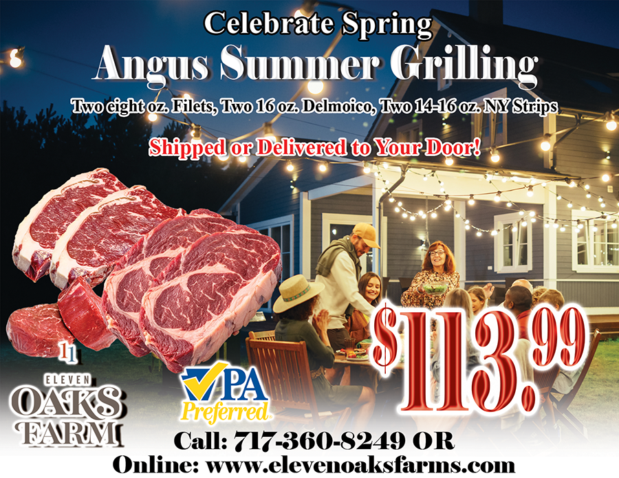 Angus Summer Grilling Bundle