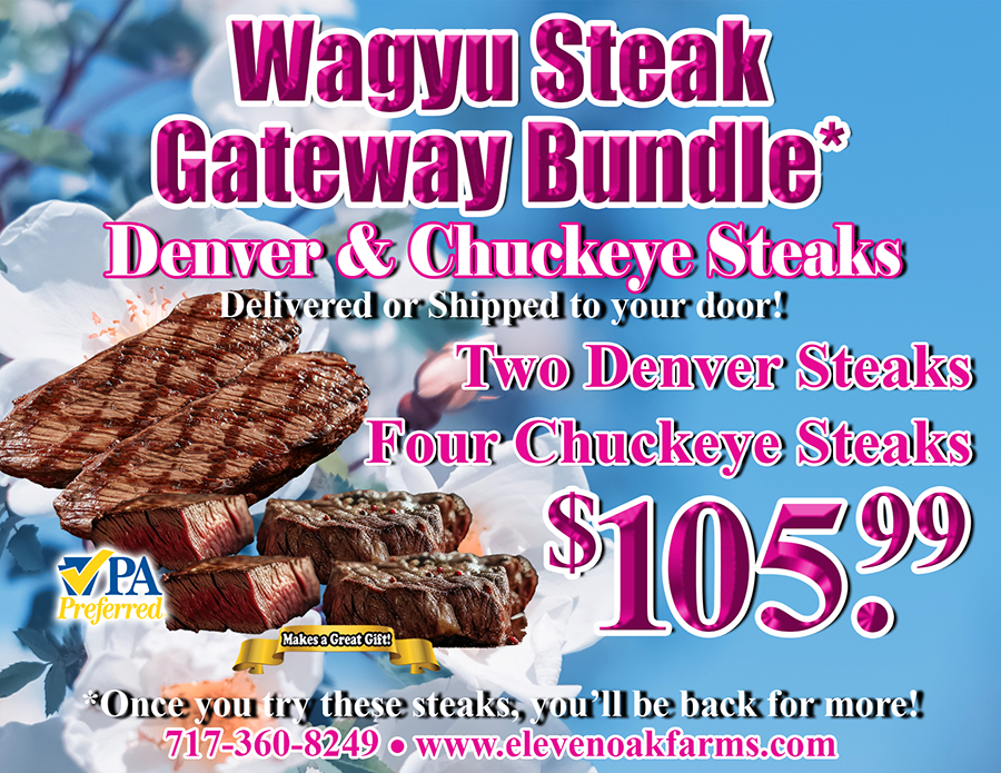 Wagyu Steak Gateway Bundle
