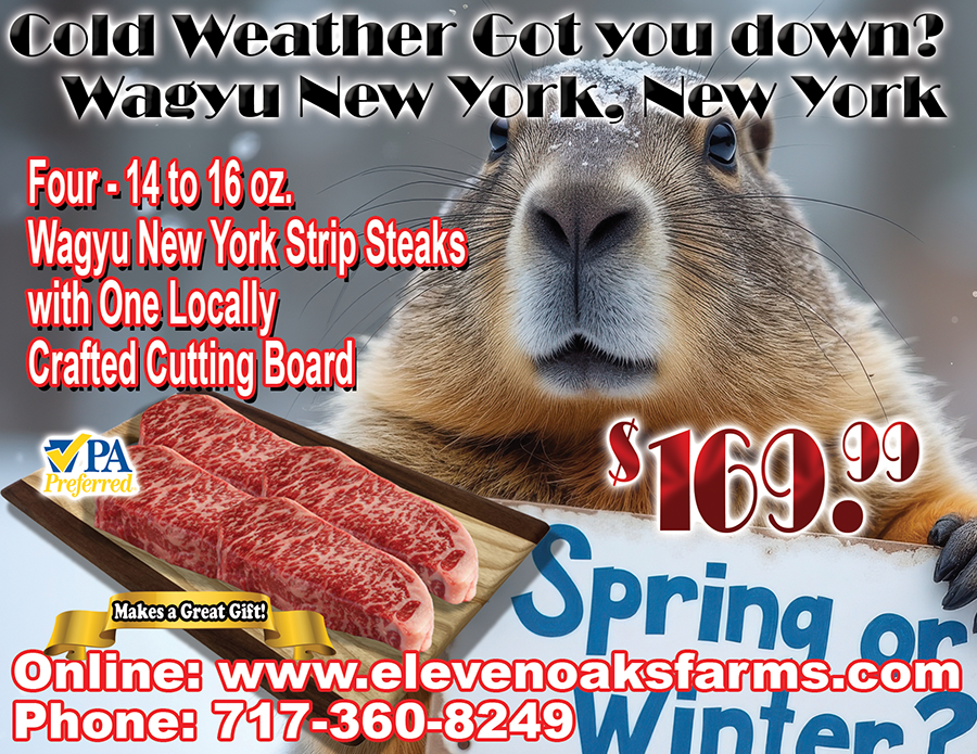 New York, New York a Steak so Nice We're Offering it Twice!