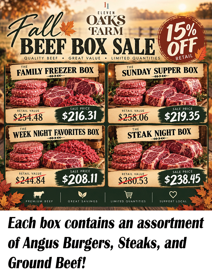 Angus Fall Beef Box Sale
