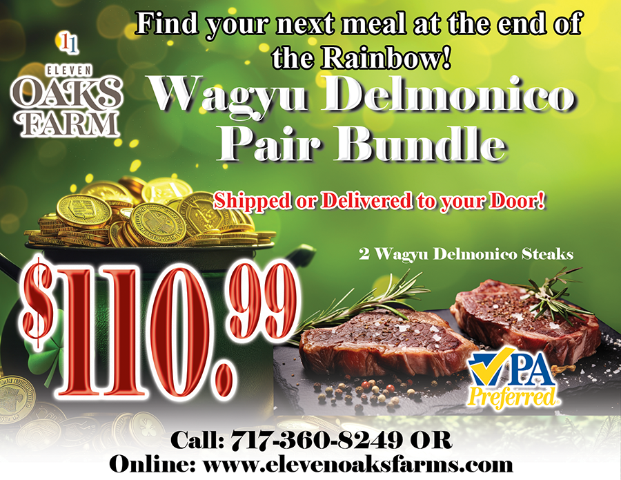 Wagyu Delmonico Pair Bundle