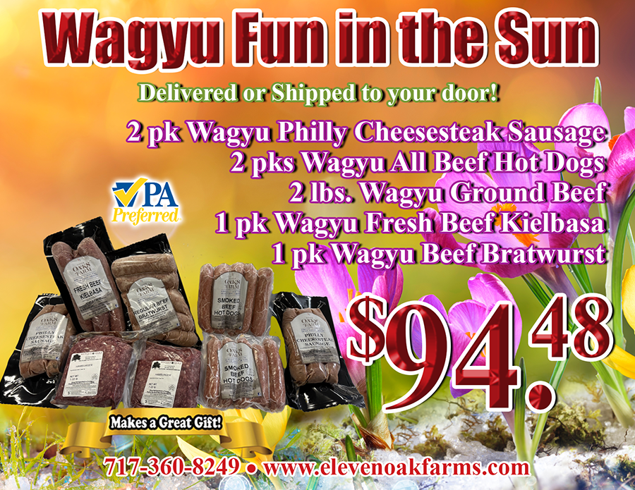 Wagyu Fun in the Sun Bundle