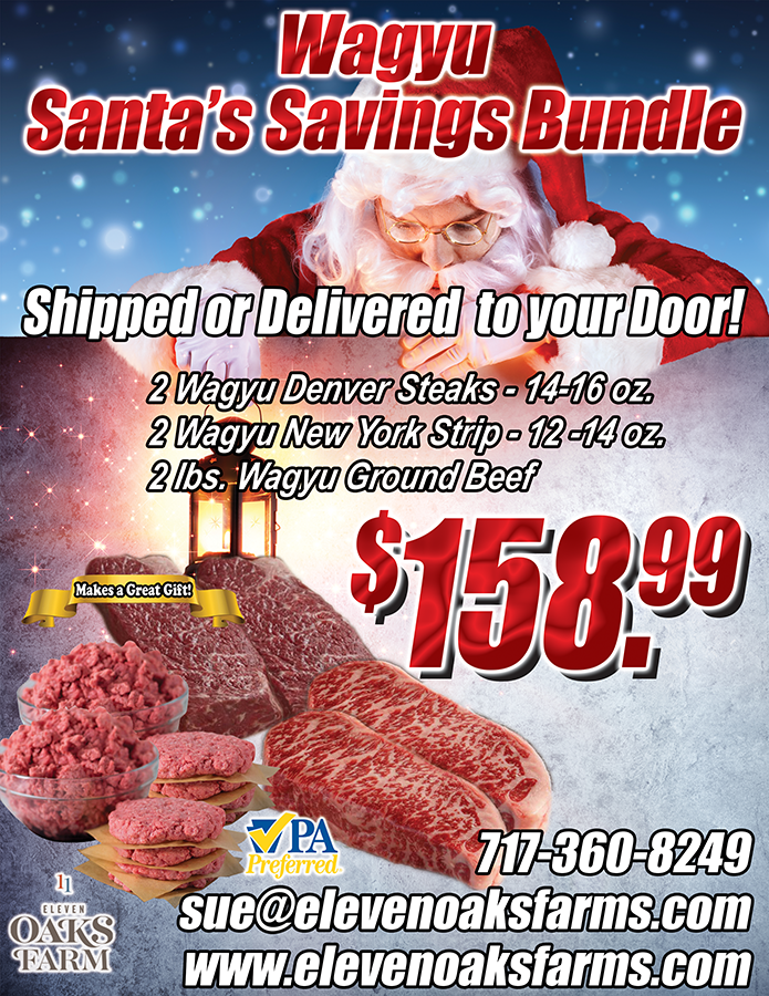 Santa's Savings Bundle