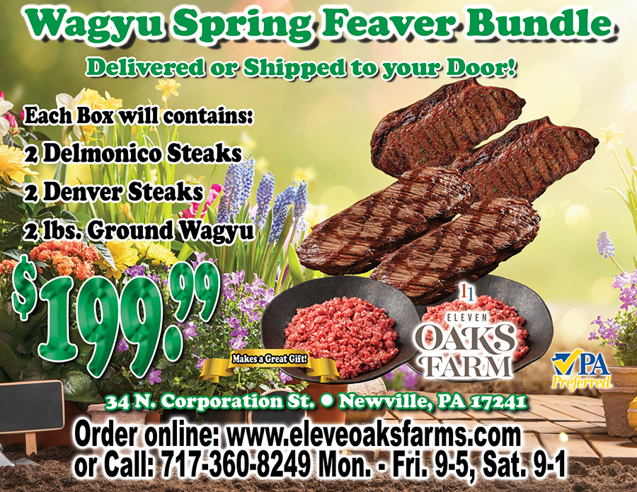 Wagyu Spring Feaver Bundle