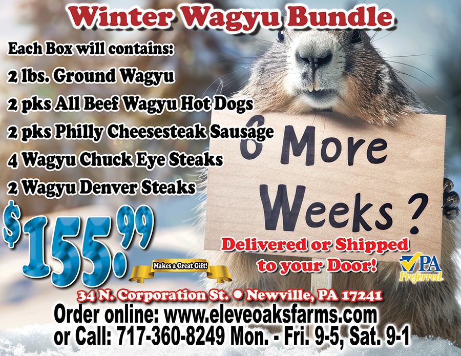 Winter Wagyu Bundle